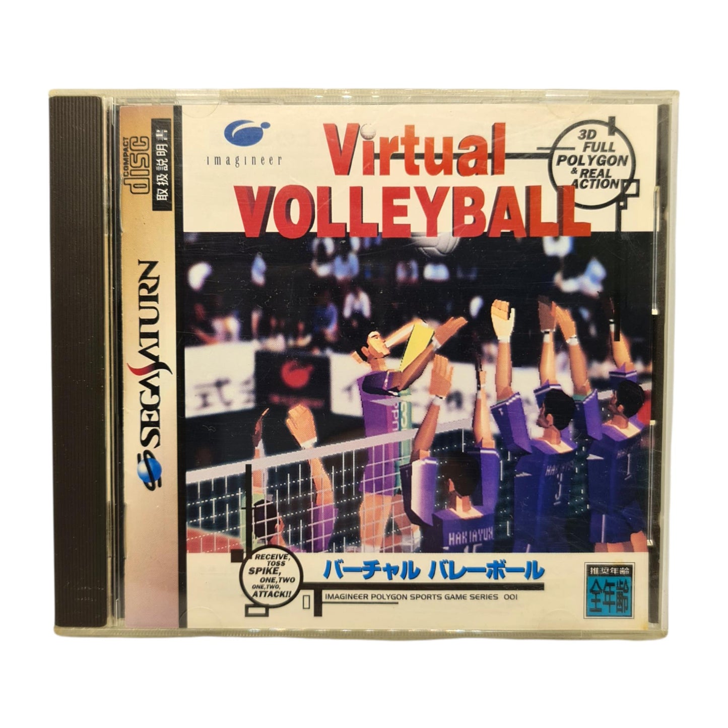 Virtual Volleyball